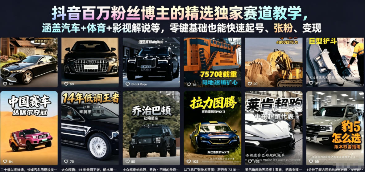 抖音百万粉丝博主的精选独家赛道教学，涵盖汽车+体育+影视解说等，零基础也能快速起号、涨粉、变现(更新0701)