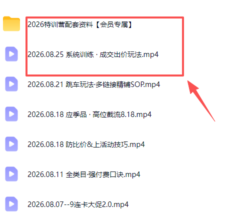 拼多多实战特训营(更新26年0827