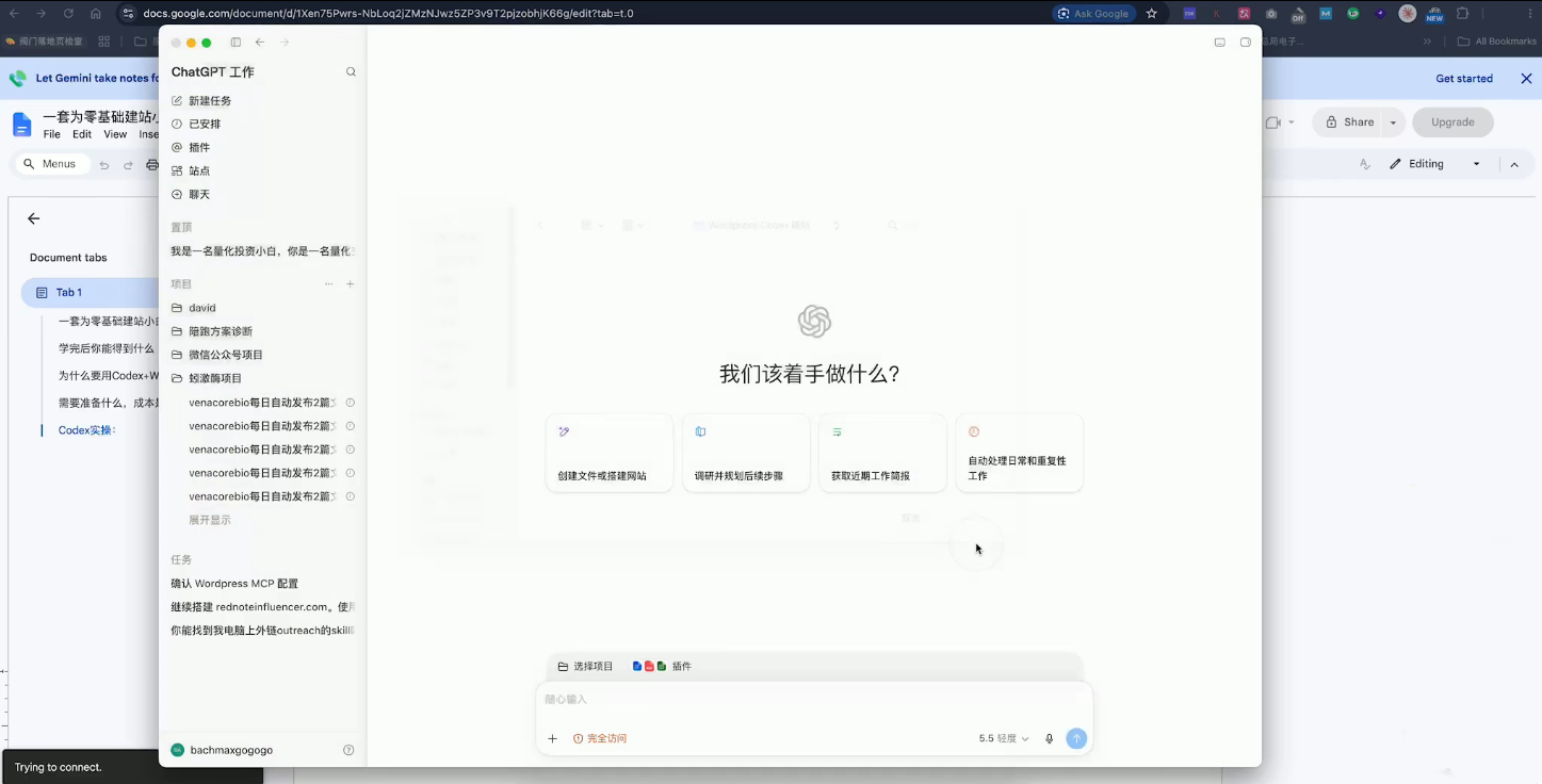 外贸人Codex + WordPress建站课