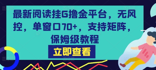 最新阅读挂G撸金平台，无风控，单窗口70+，支持矩阵，保姆级教程【揭秘】