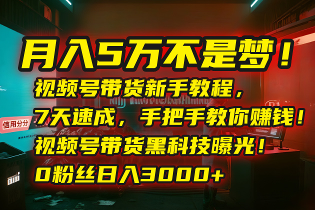 月入5万不是梦！视频号带货新手教程，7天速成，手把手教你赚钱！视频号…