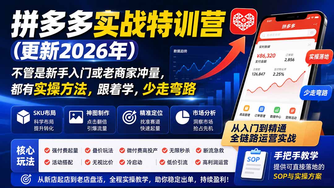 拼多多实战特训营(更新26年0827