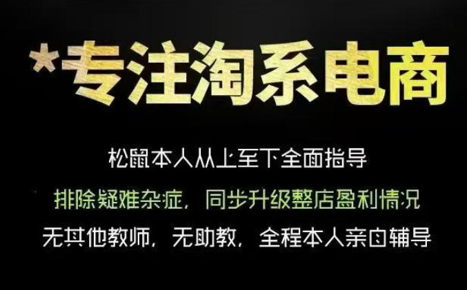 松鼠会电商VIP课程，从基础布局到高阶优化，助你掌握淘宝运营逻辑，提升店铺流量与转化(更新0809)