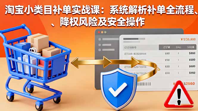 淘宝小类目补单实战课：系统解析补单全流程、降权风险及安全操作